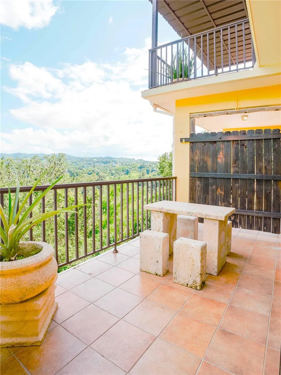 CARR. 414 KM 1.8 INT THE TERRACES Rincon, PR 00677