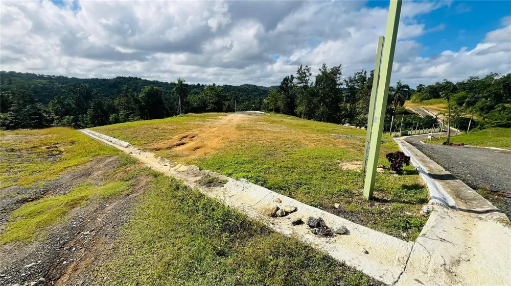 HACIENDA RIO LAJAS ##1 Dorado, PR 00646