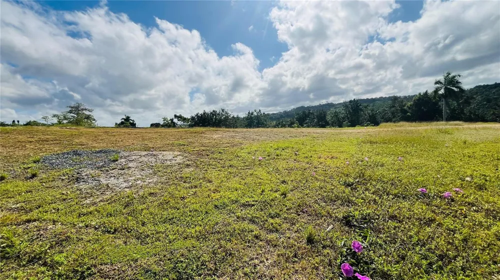 HACIENDA RIO LAJAS ##1 Dorado, PR 00646