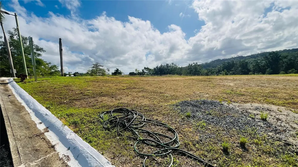 HACIENDA RIO LAJAS ##1 Dorado, PR 00646