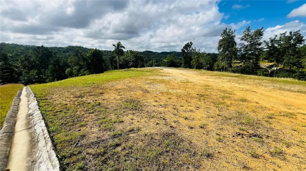 HACIENDA RIO LAJAS ##1 Dorado, PR 00646