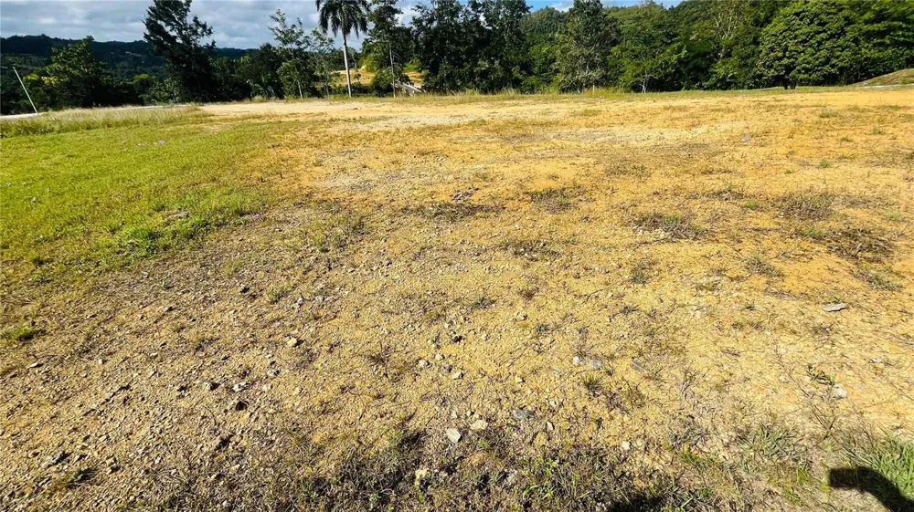 HACIENDA RIO LAJAS ##1 Dorado, PR 00646