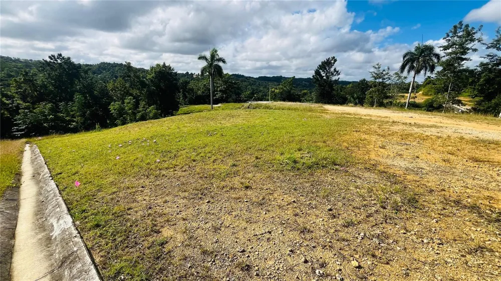 HACIENDA RIO LAJAS ##1 Dorado, PR 00646
