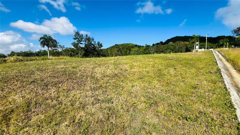 HACIENDA RIO LAJAS ##1 Dorado, PR 00646