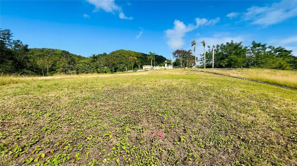 HACIENDA RIO LAJAS ##1 Dorado, PR 00646