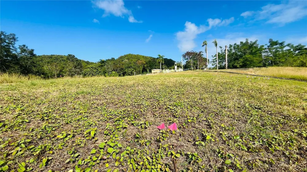 HACIENDA RIO LAJAS ##1 Dorado, PR 00646