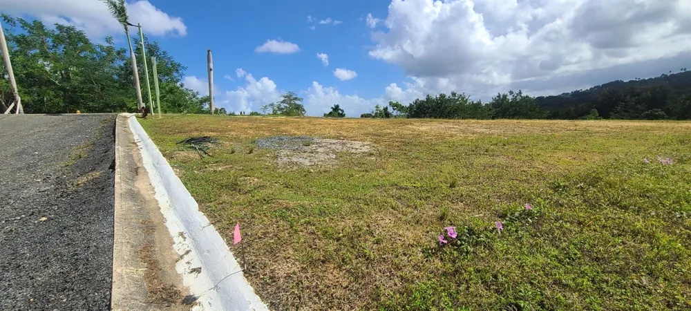 HACIENDA RIO LAJAS ##1 Dorado, PR 00646