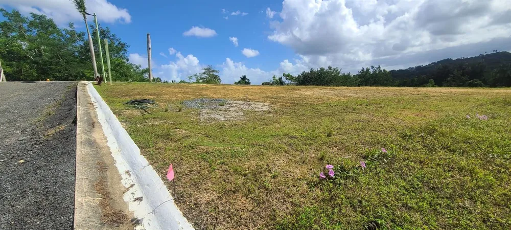 HACIENDA RIO LAJAS ##1 Dorado, PR 00646