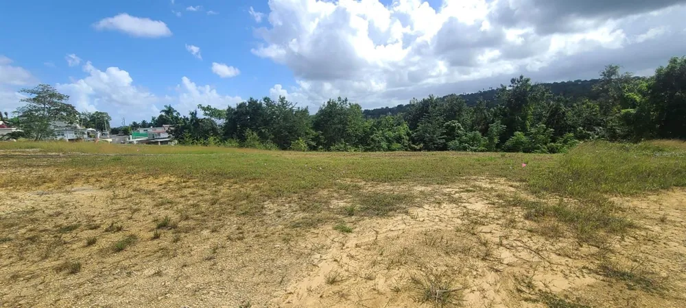 HACIENDA RIO LAJAS ##1 Dorado, PR 00646
