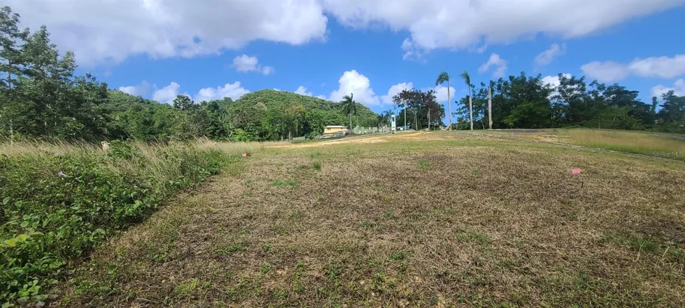 HACIENDA RIO LAJAS ##1 Dorado, PR 00646