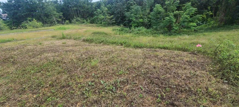 HACIENDA RIO LAJAS ##1 Dorado, PR 00646