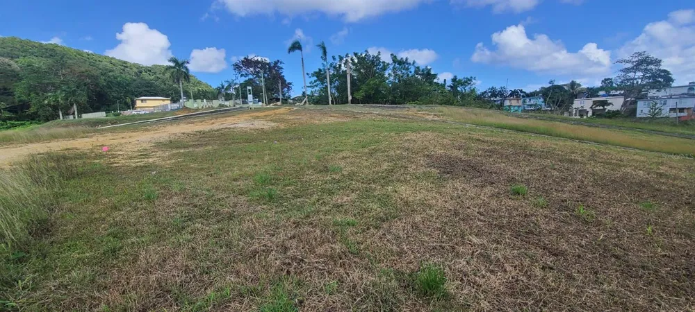 HACIENDA RIO LAJAS ##1 Dorado, PR 00646