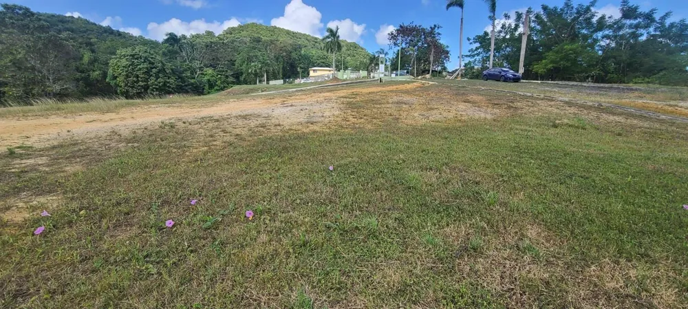 HACIENDA RIO LAJAS ##1 Dorado, PR 00646