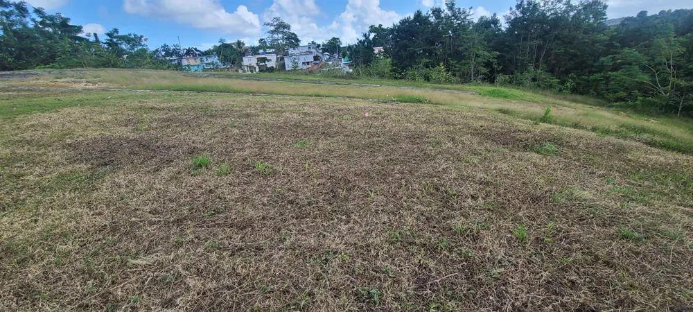 HACIENDA RIO LAJAS ##1 Dorado, PR 00646