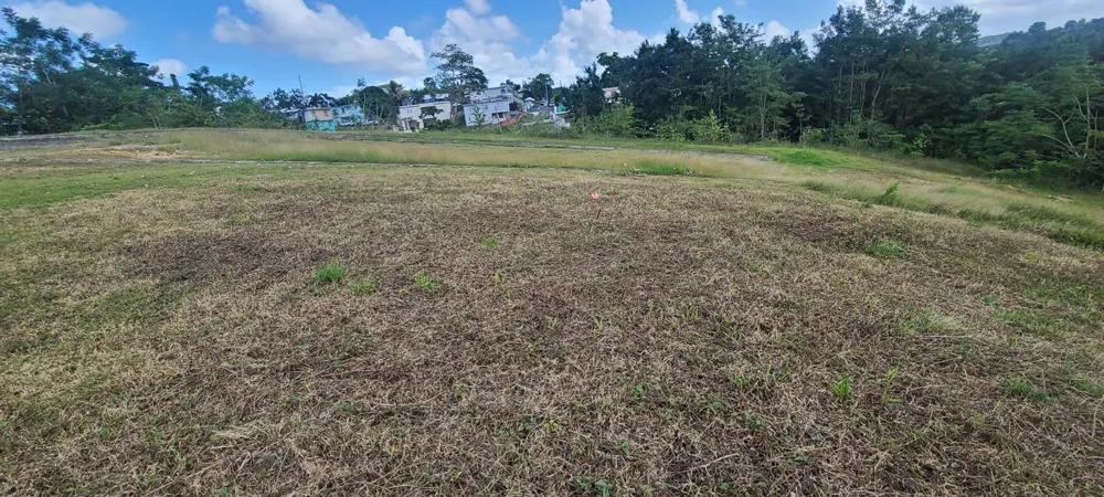 HACIENDA RIO LAJAS ##1 Dorado, PR 00646