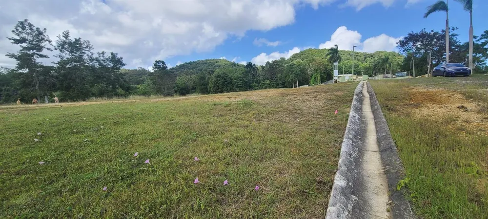 HACIENDA RIO LAJAS ##1 Dorado, PR 00646