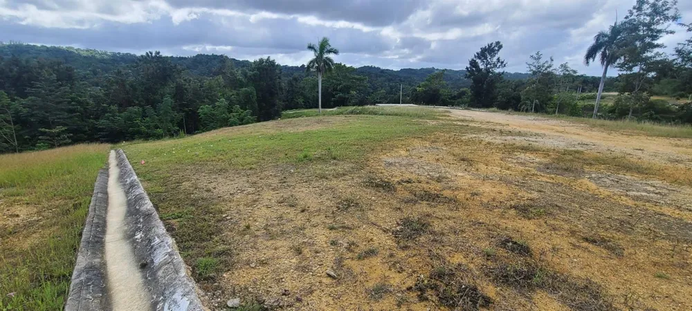 HACIENDA RIO LAJAS ##1 Dorado, PR 00646