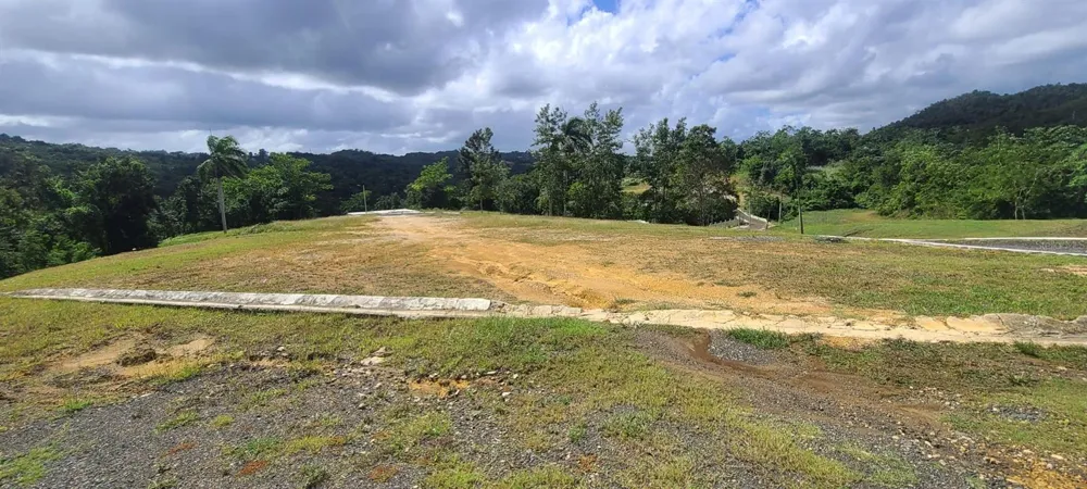 HACIENDA RIO LAJAS ##1 Dorado, PR 00646