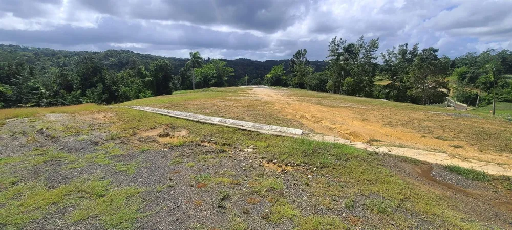 HACIENDA RIO LAJAS ##1 Dorado, PR 00646