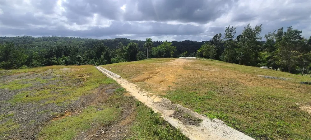 HACIENDA RIO LAJAS ##1 Dorado, PR 00646