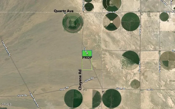 26 Cheyene Baker, CA 92309
