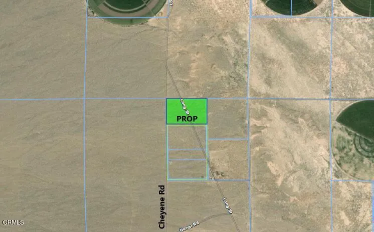 26 Cheyene Baker, CA 92309