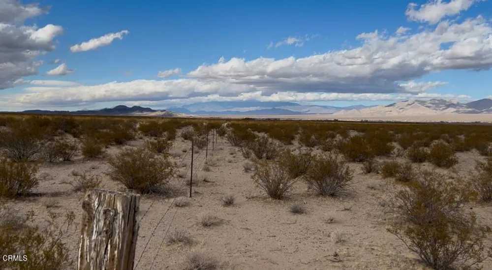 26 Cheyene Baker, CA 92309