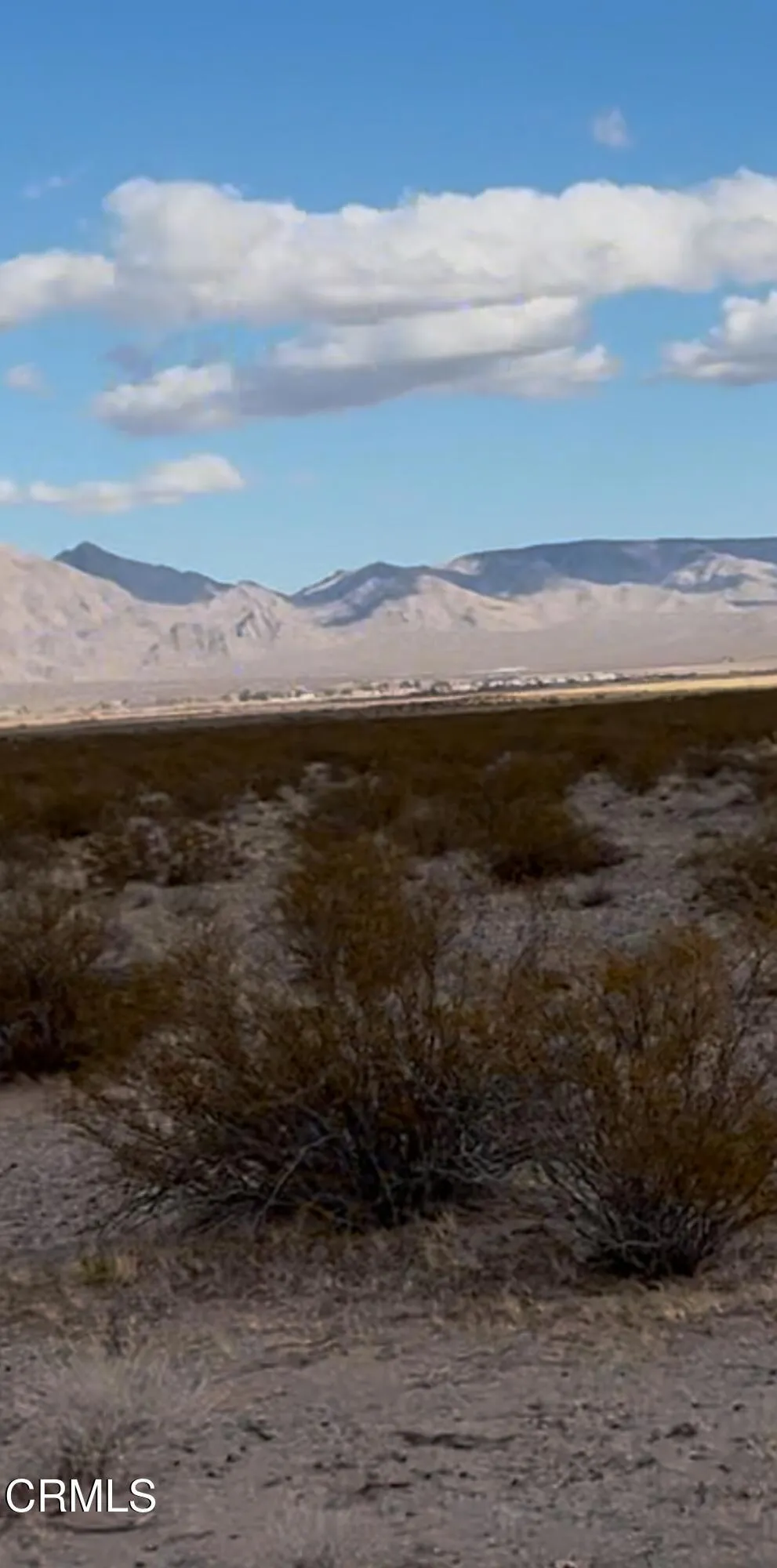 26 Cheyene Baker, CA 92309
