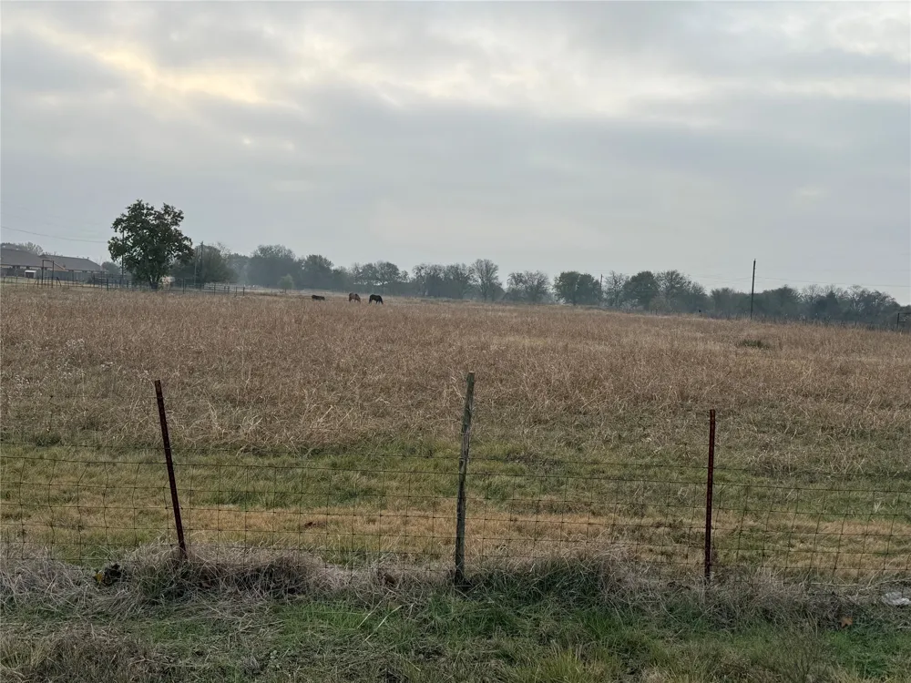 Southwick Drive Palmer, TX 75152