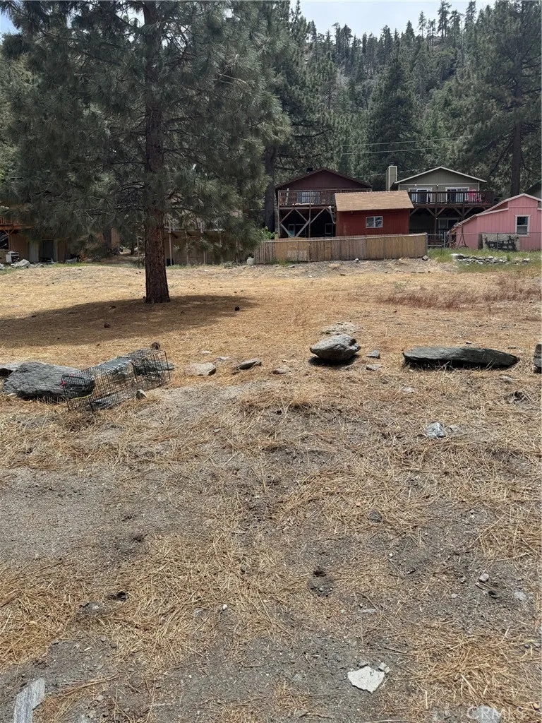 999 Buckthorn Road Wrightwood, CA 92397