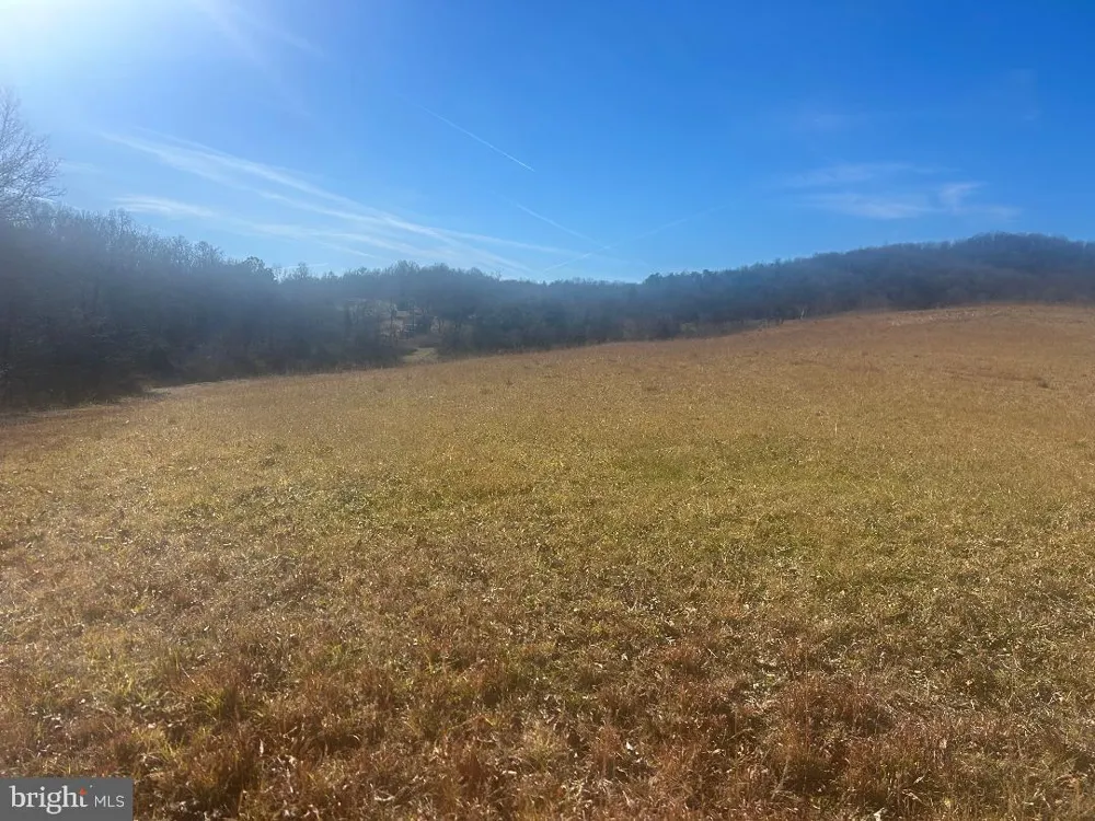 342 POES S Amissville, VA 20106