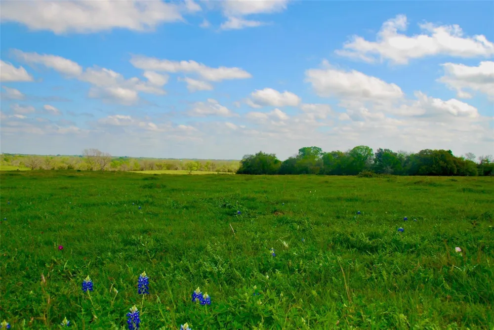 450 County Road 217c Schulenburg, TX 78956