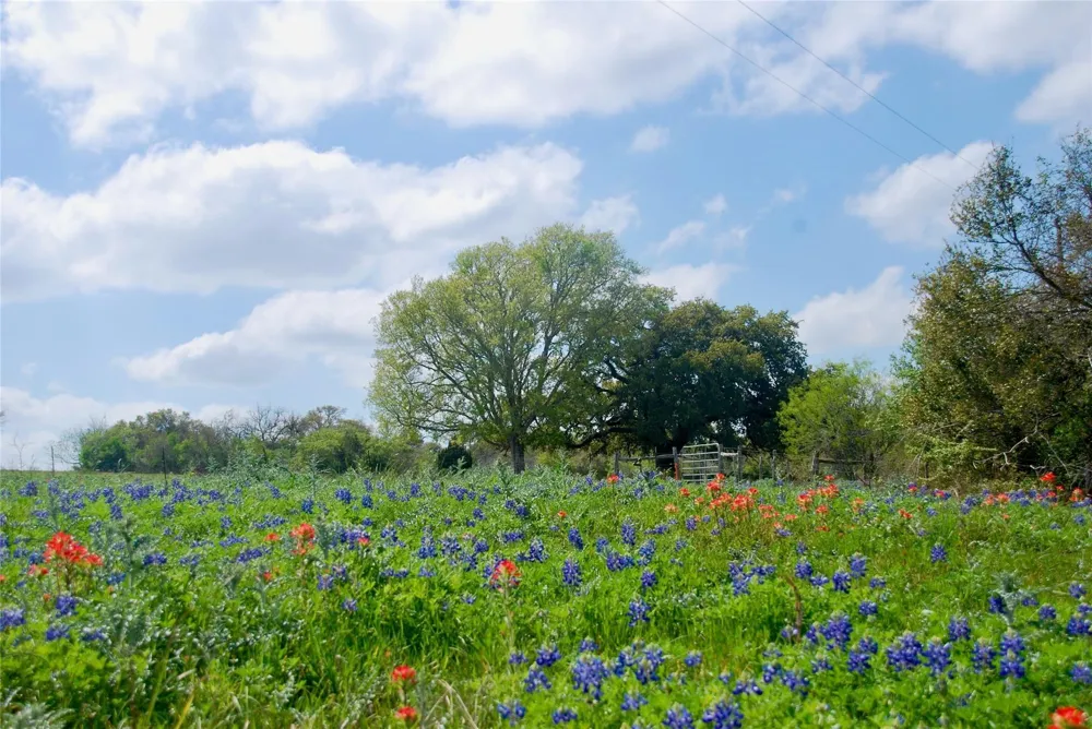 450 County Road 217c Schulenburg, TX 78956