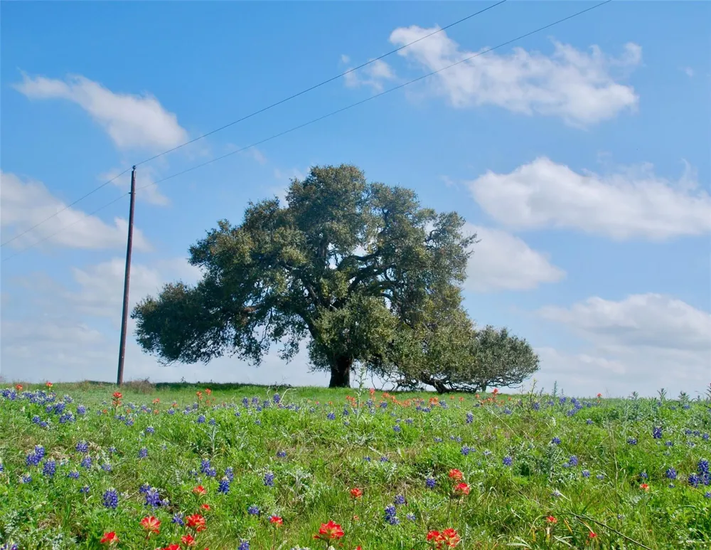 450 County Road 217c Schulenburg, TX 78956
