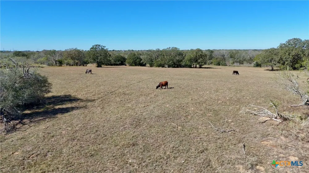 7180 CR 283 Harwood, TX 78632