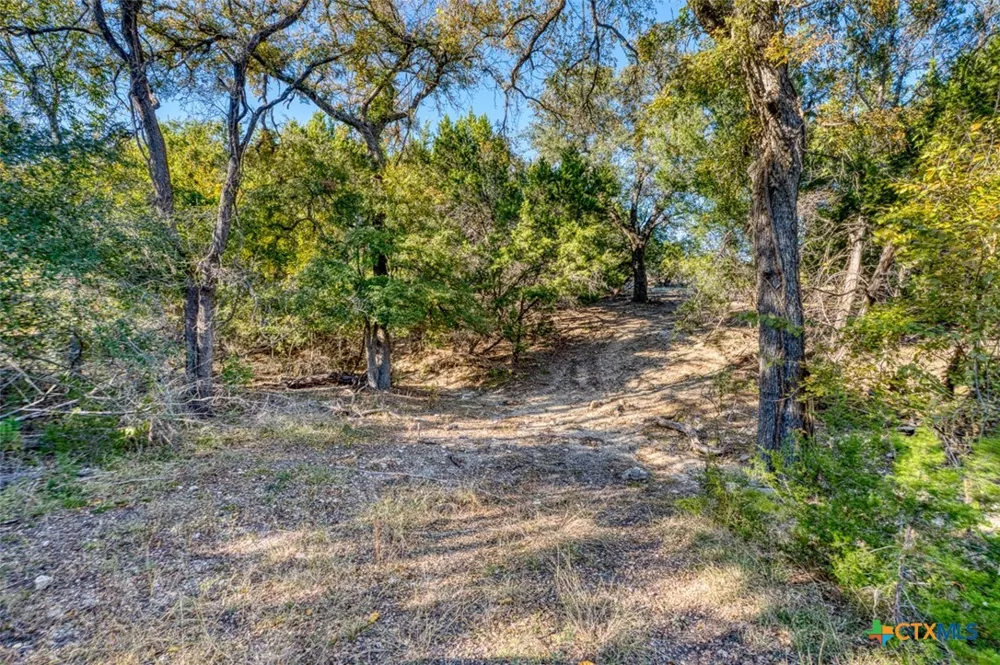 20949 Firefly Road Florence, TX 76527