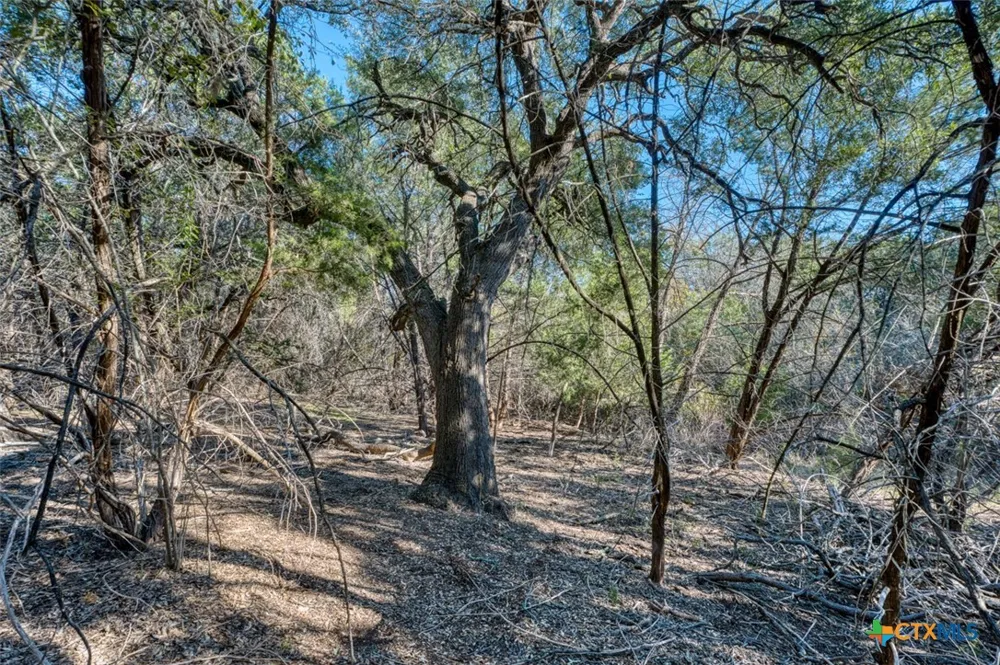 20949 Firefly Road Florence, TX 76527
