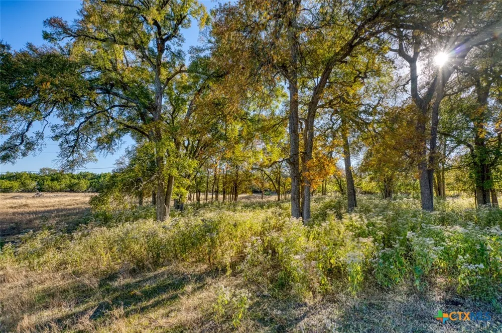 20949 Firefly Road Florence, TX 76527