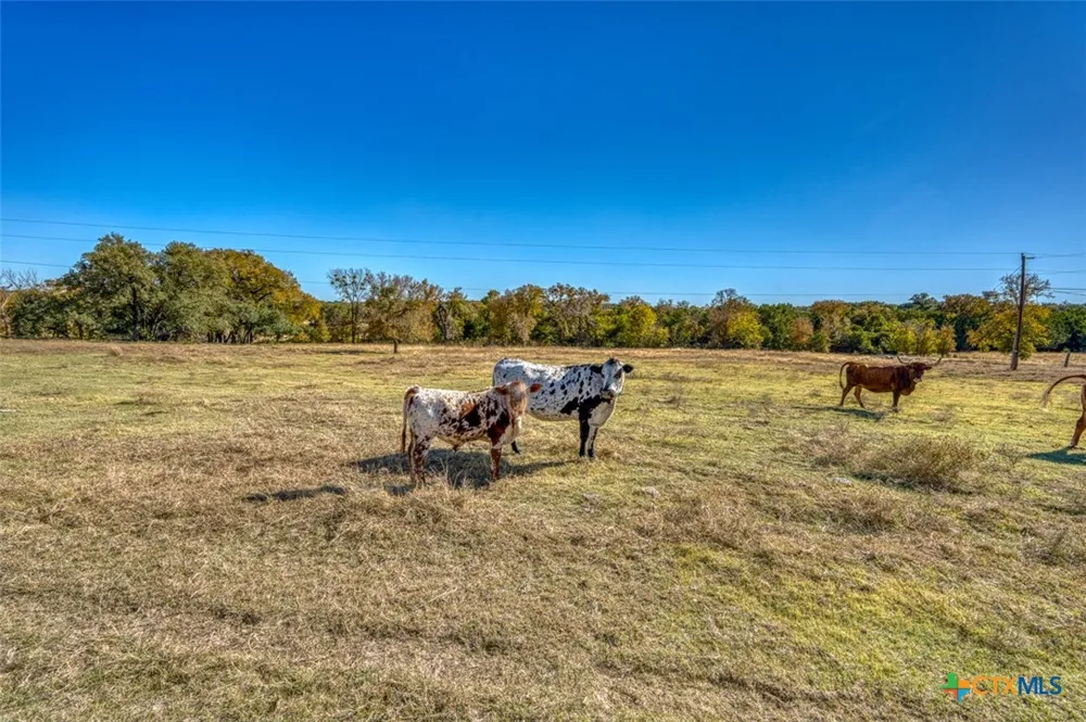 20949 Firefly Road Florence, TX 76527