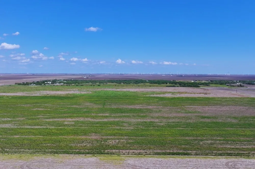 County Rd 2367 Odem, TX 78370