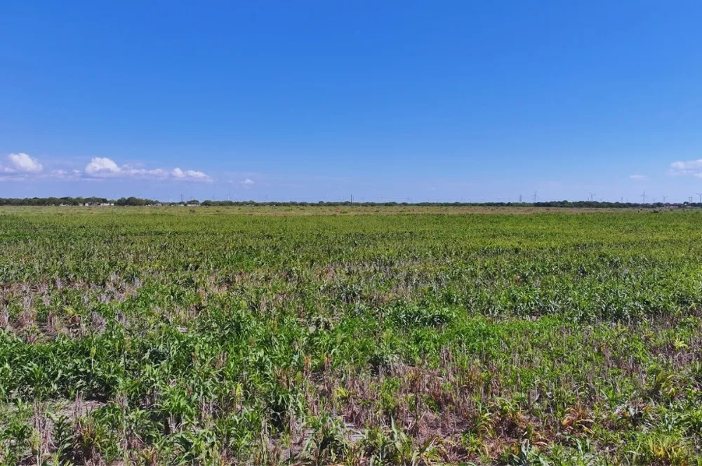 County Rd 2367 Odem, TX 78370
