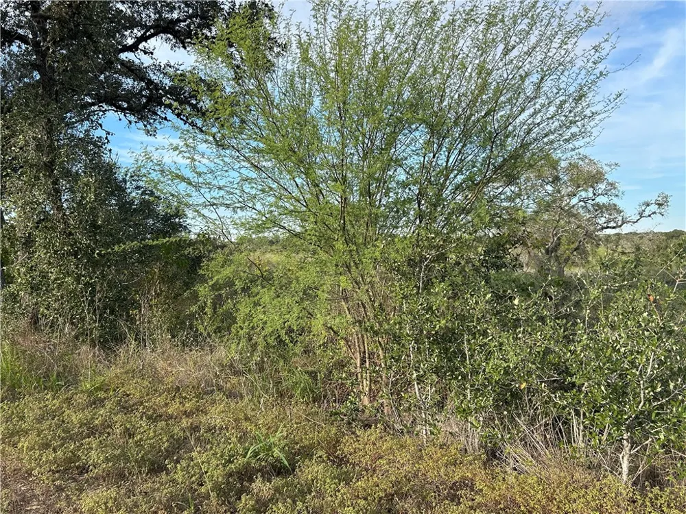 Airport Road Beeville, TX 78102