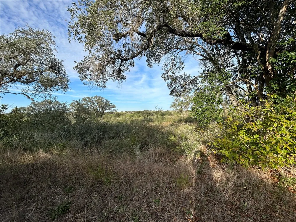 Airport Road Beeville, TX 78102