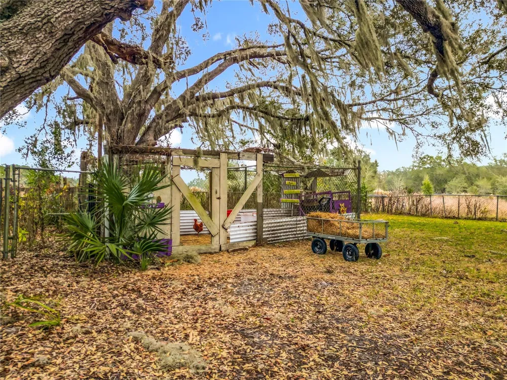 12521 SW HIGHWAY 484 Dunnellon, FL 34432