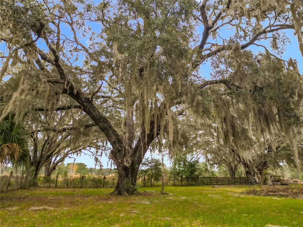 12521 SW HIGHWAY 484 Dunnellon, FL 34432