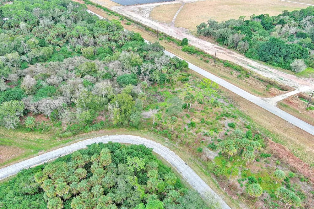171 CAROUSEL AVE La Belle, FL 33935