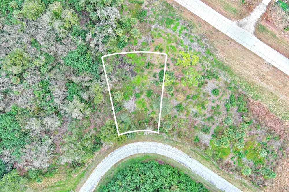171 CAROUSEL AVE La Belle, FL 33935