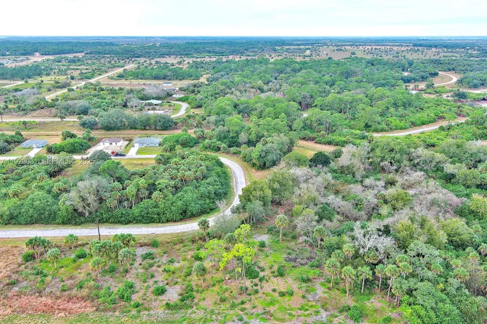 171 CAROUSEL AVE La Belle, FL 33935