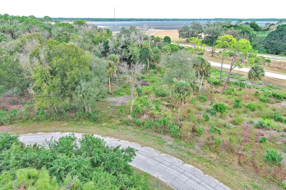 171 CAROUSEL AVE La Belle, FL 33935