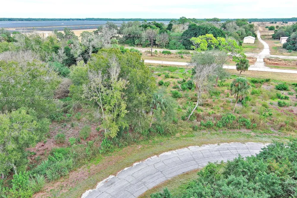 171 CAROUSEL AVE La Belle, FL 33935